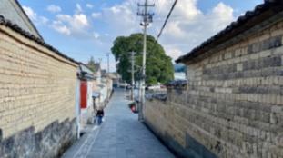 迷失在荒野